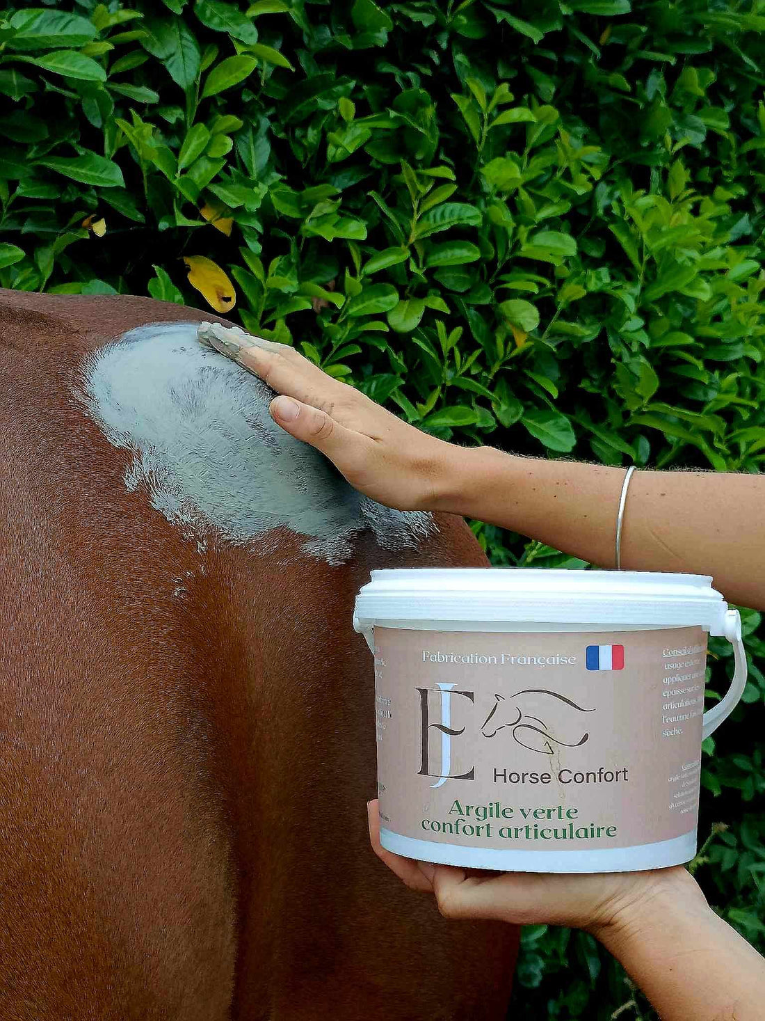 Appliquer de l'argile verte sans huiles essentielles sur un cheval atteint d'arthrose