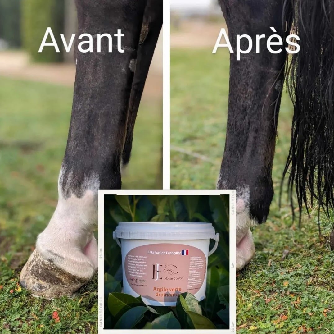 Obtenez des résultats avec nos argiles sans huiles essentielles
