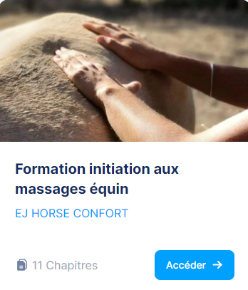 Formation en ligne - Initiation aux massages équin et applications d'argiles