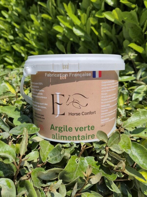 Poudre d'argile verte alimentaire
